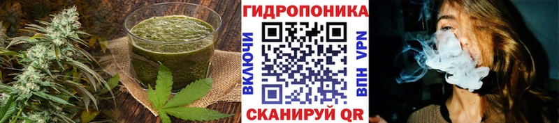 площадка клад  хочу наркоту  Зеленоградск  Cannafood конопля 