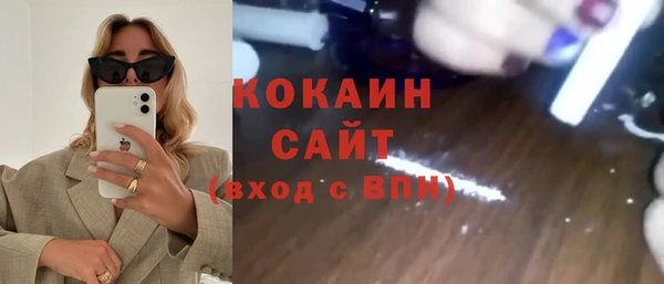 соль ск Алексин