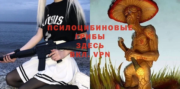 соль ск Алексин