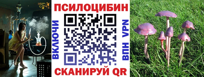 Псилоцибиновые грибы GOLDEN TEACHER  дарнет шоп  Зеленоградск 